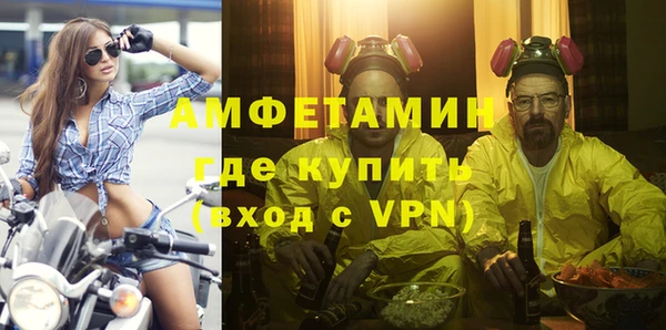индика Алзамай