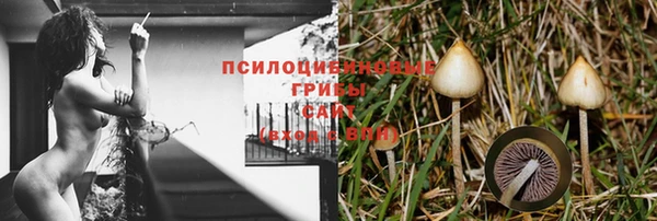 индика Алзамай